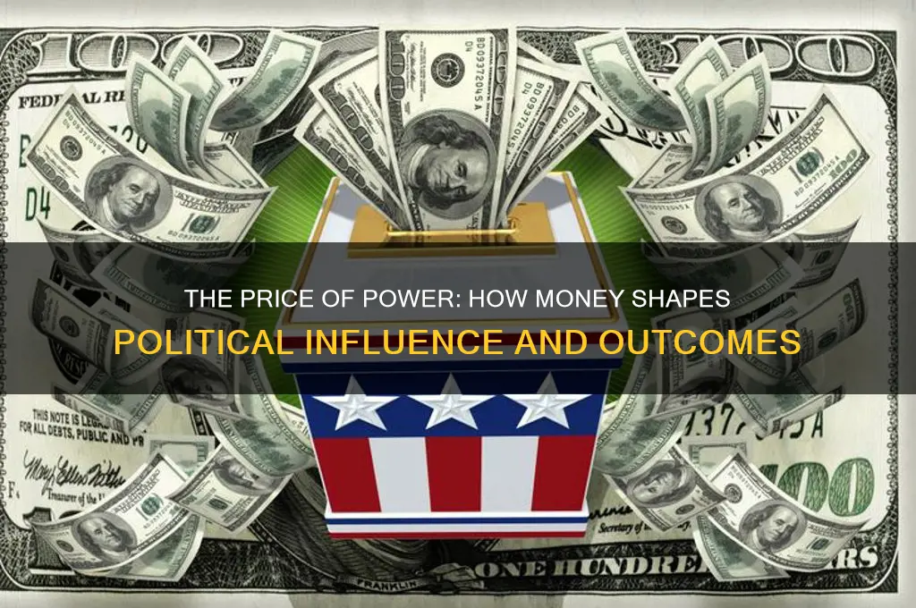 what money buys in politics
