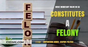 Understanding Felony Charges in Georgia: Monetary Thresholds