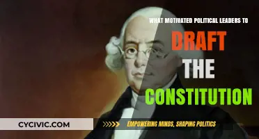 Why the Constitution Was Created: Leaders' Motivations