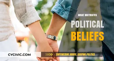 Understanding the Complex Drivers Behind Our Political Beliefs and Values