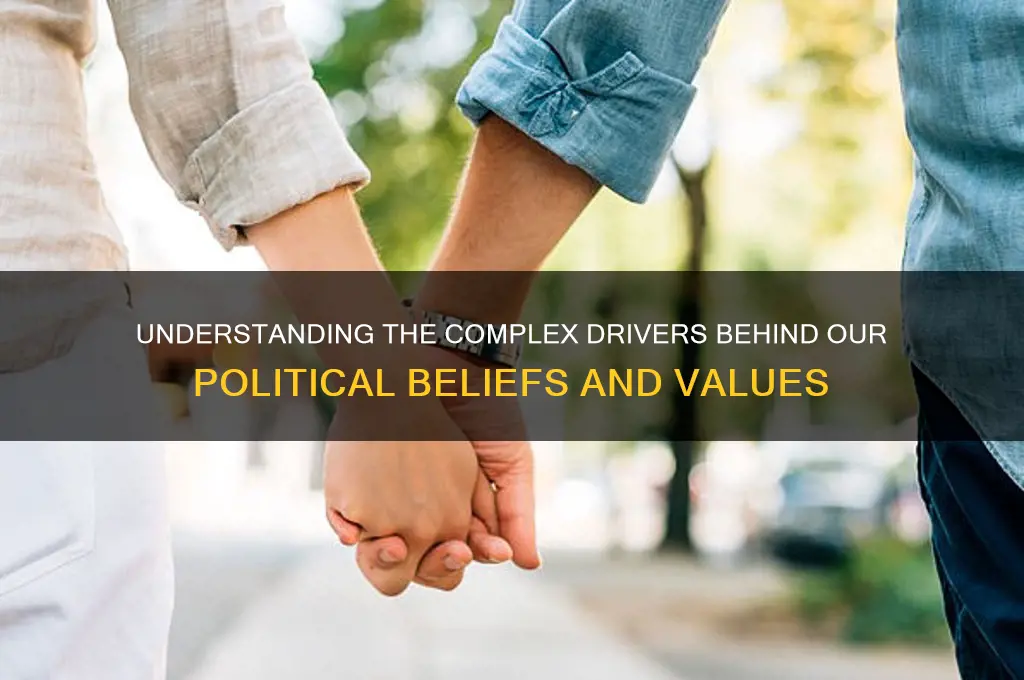 what motivates political beliefs