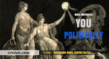 What Drives Your Political Passion? Uncovering Personal Motivations and Beliefs