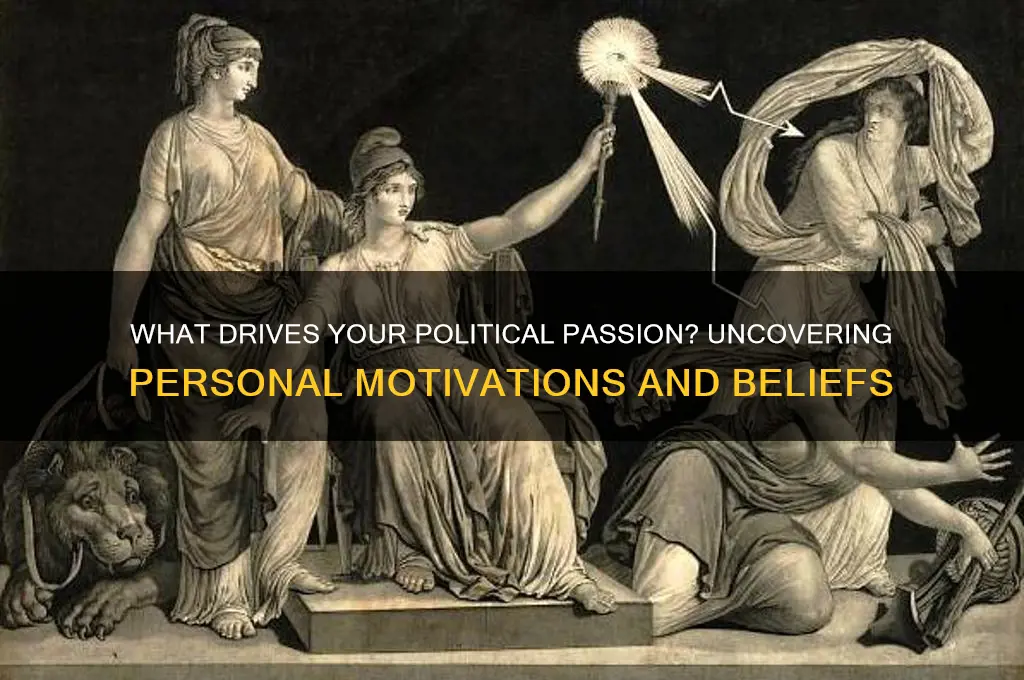 what motivates you politically