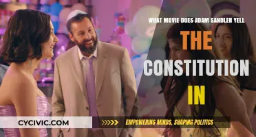 Adam Sandler's Patriotic Yell: Movie Mystery