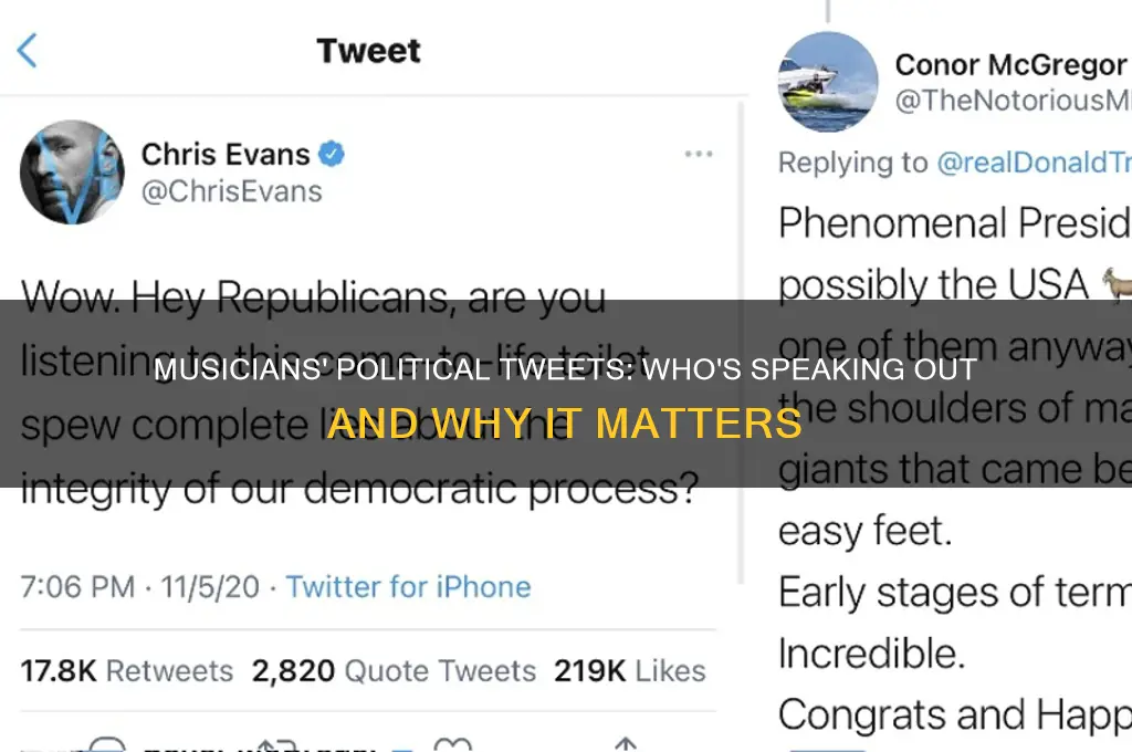 what musician tweeted about politics