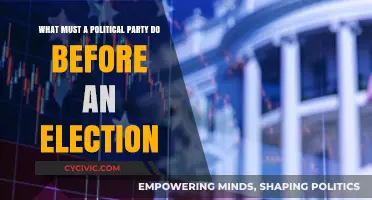 Pre-Election Strategies: Essential Steps for Political Parties to Win Votes