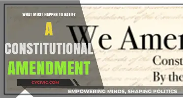 The Process of Ratifying a Constitutional Amendment