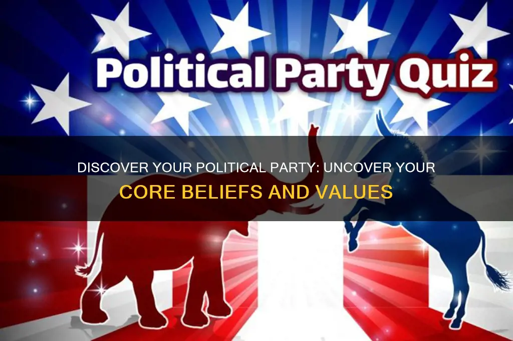 what my political party test