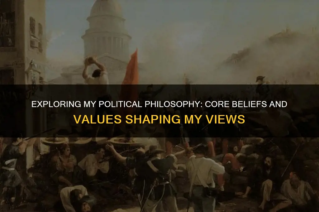 what my political philosophy