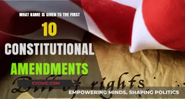 The Bill of Rights: Understanding Our Constitutional Freedoms