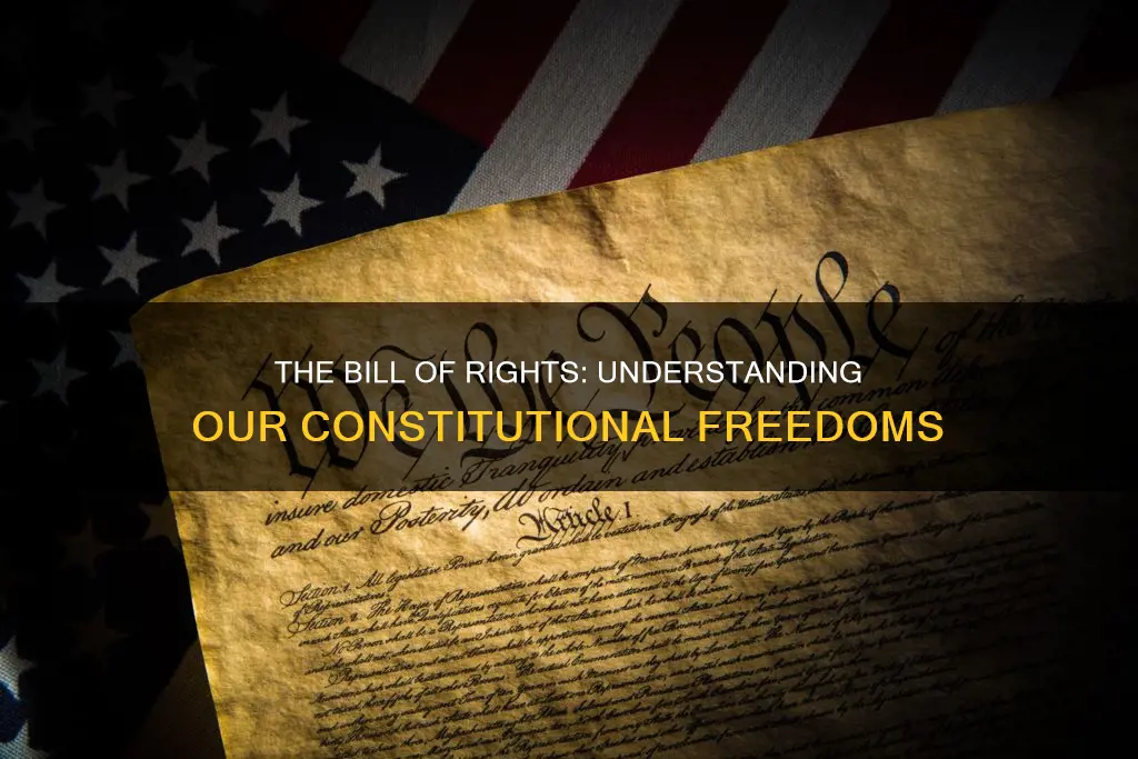 what name is given to the first 10 constitutional amendments