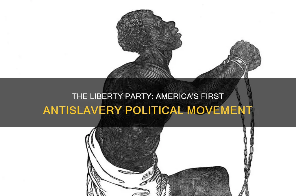 what name was given to the first antislavery political party