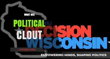 Understanding the NES's Political Influence and Power Dynamics