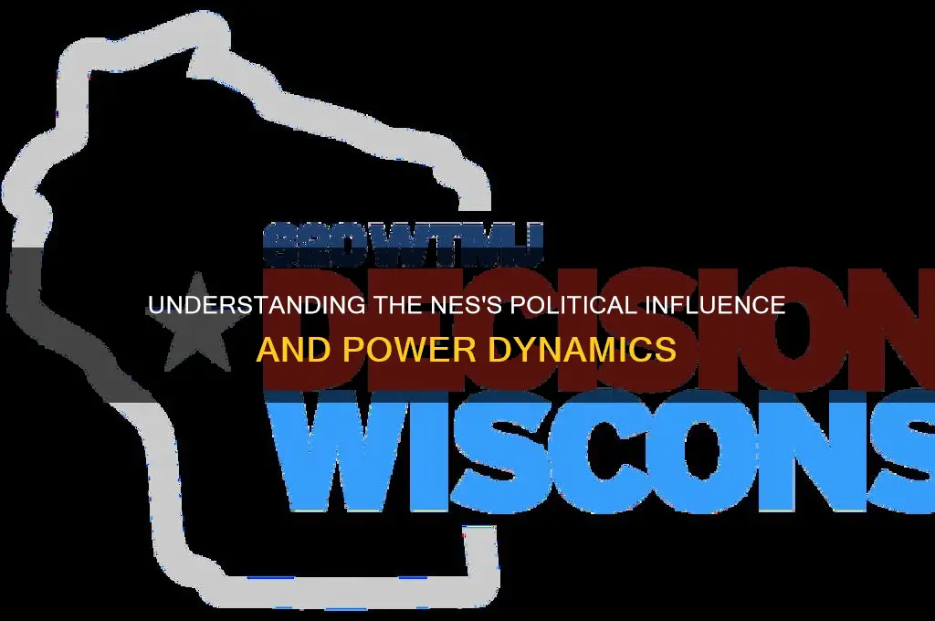 what nes political clout