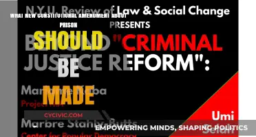 Prison Reform: A New Constitutional Amendment