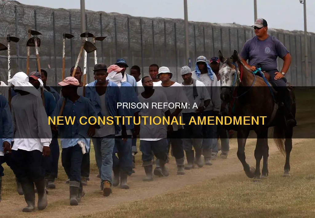 what new constitutional amendment about prison should be made