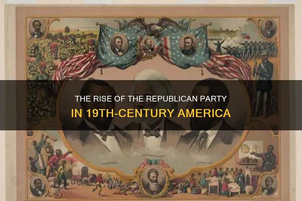what new political party was formed in the 1800s