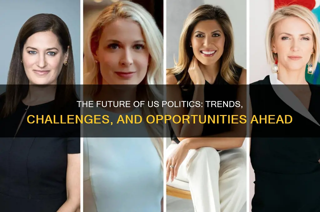 what next us politics