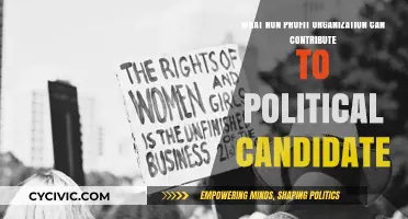 Empowering Democracy: Non-Profits' Role in Political Contributions