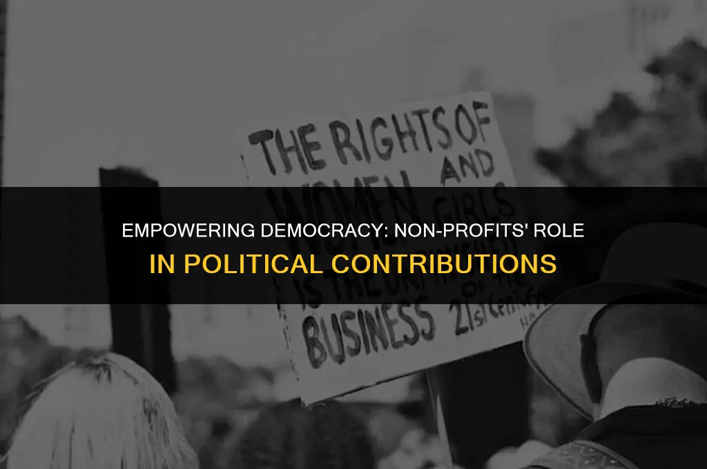 what non profit organization can contribute to political candidate