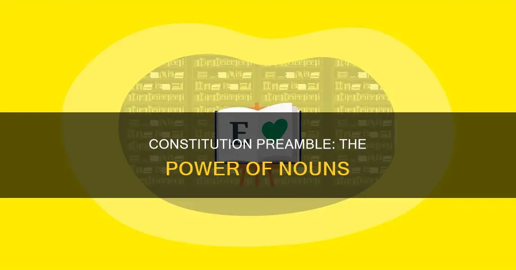 what nouns are used in the preamble to the constitution