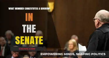 Understanding the Quorum Requirement in the Senate