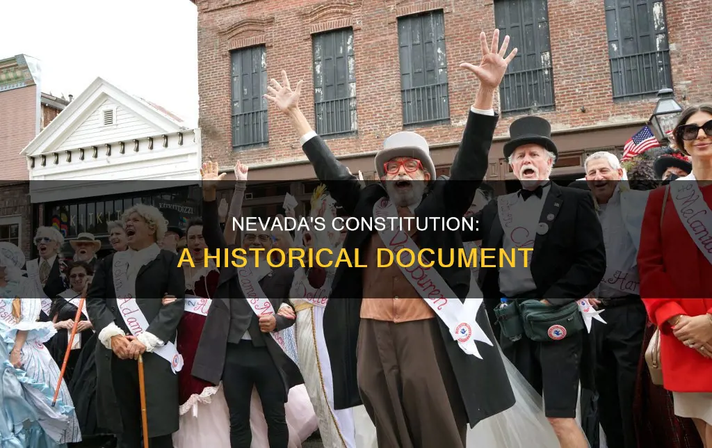 what number of constitution was the nevada constitution
