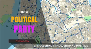 Exploring New York's Political Parties: A Comprehensive Guide to Their Ideologies