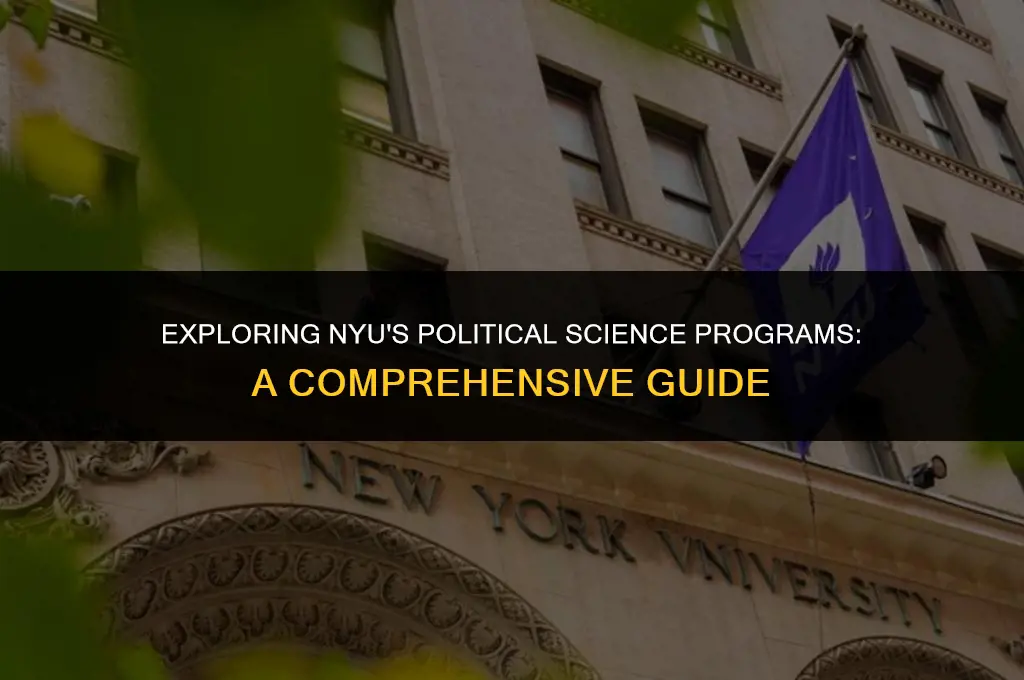 what nyu school is political science
