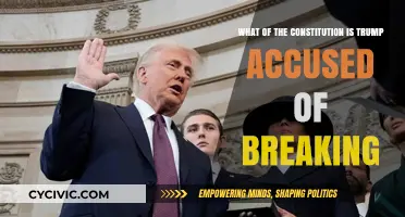 Trump's Constitutional Crisis: What Laws Were Broken?