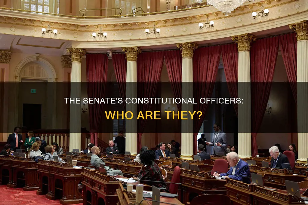 what officers are required of the senate by the constitution