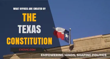 Texas Constitution: Offices Created and Their Roles