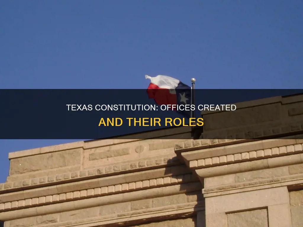 what offices are created by the texas constitution