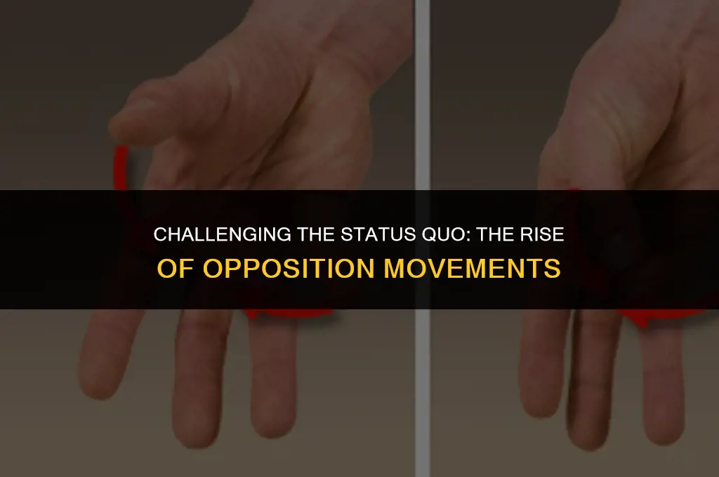 what opposition movements began to existing political systems