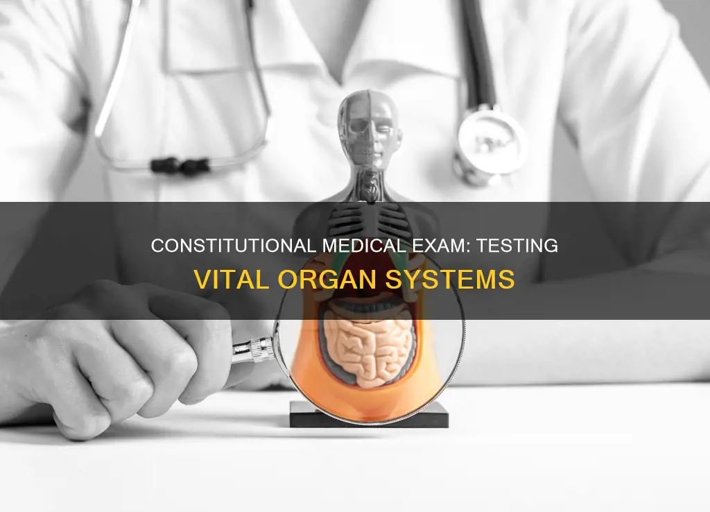 what organ system is the constitutional medical exam testing