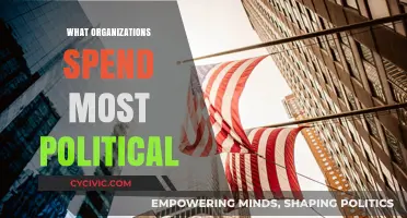Top Political Spenders: Which Organizations Invest Heaviest in Influence?