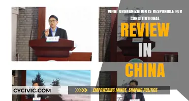 Who Reviews China's Constitution?