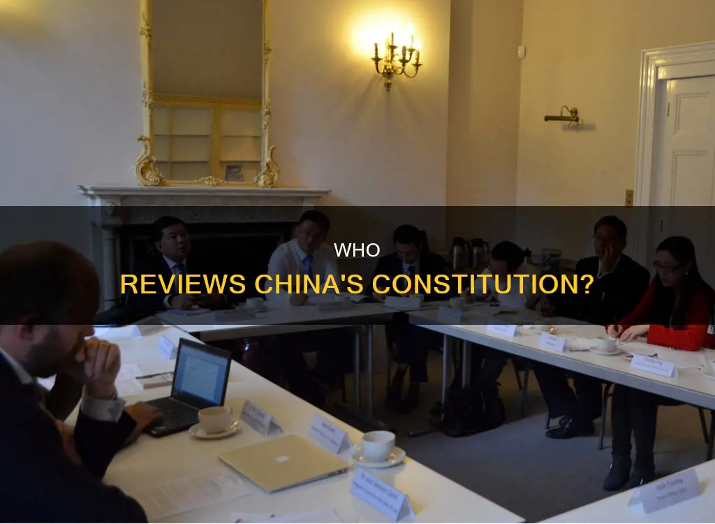 what orgnanization is responible for constitutional review in china