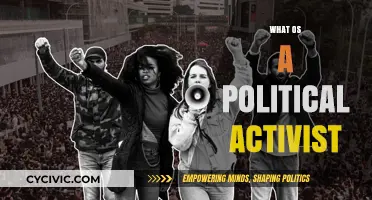 Understanding the Role and Impact of a Political Activist