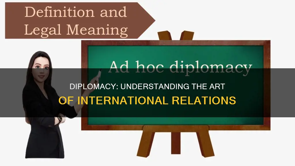 what os the definition of diplomacy