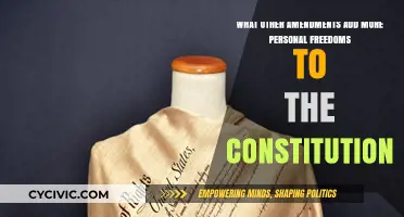 Personal Freedoms: Amendments to the Constitution