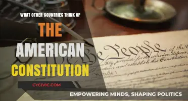 American Constitution: Global Perceptions and Comparisons