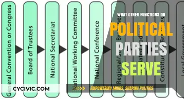 Beyond Elections: Exploring Political Parties' Diverse Roles and Functions