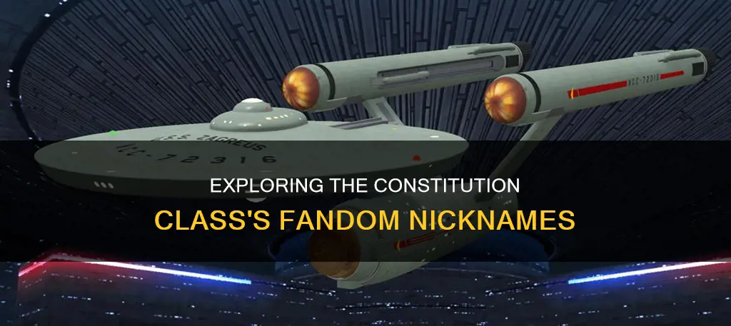 what other names in fandom does the constitution class have