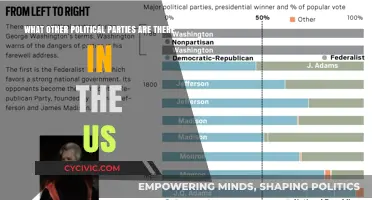 Exploring America's Political Landscape: Beyond the Two Major Parties