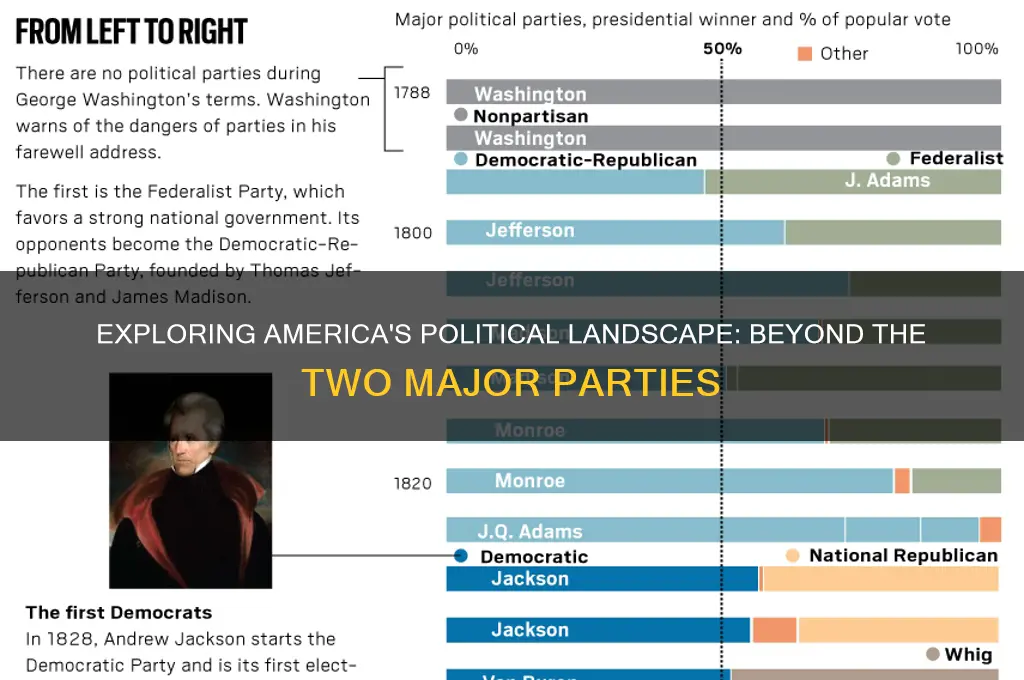 what other political parties are there in the us