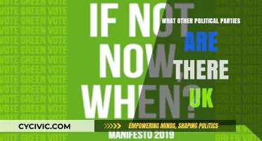 Exploring the UK's Political Landscape: Beyond the Major Parties
