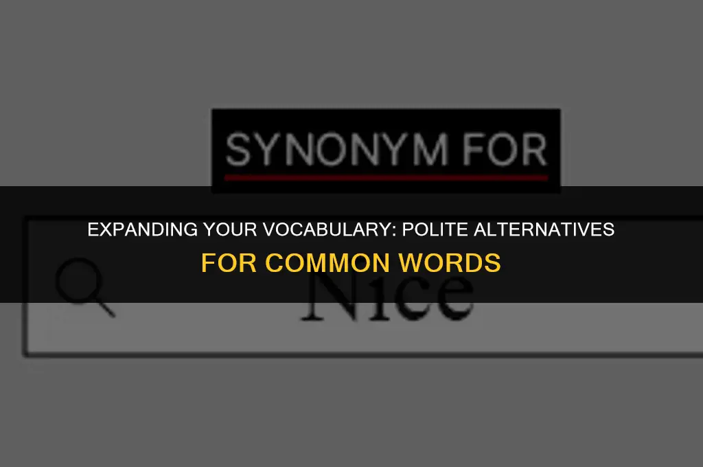 what other word can i use in a polite way
