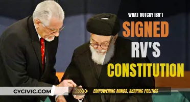 The Missing Signatures: RV's Constitution and Outcry