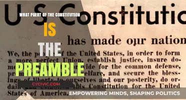 Understanding the Constitution: Preamble's Role and Significance